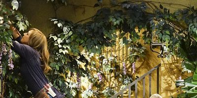 Poster der Serie A Taco Bowl and a Tubby Seamstress