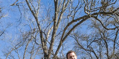 Poster der Serie Laura