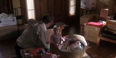 Poster der Serie The Black Forest