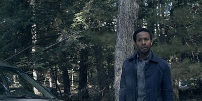 Poster der Serie Lokale Farbe