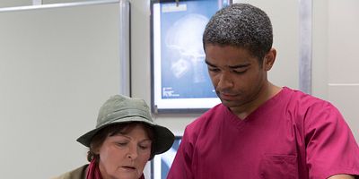 Poster der Serie Blood and Bone