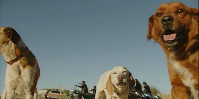 Poster der Serie Skorpion