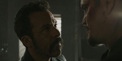 Poster der Serie Kakerlake