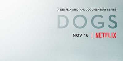 Poster der Serie Much Ado About Blue