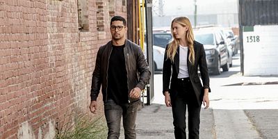 Poster der Serie Pink Flamingo