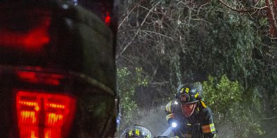 Poster der Serie Wahre Bestimmung