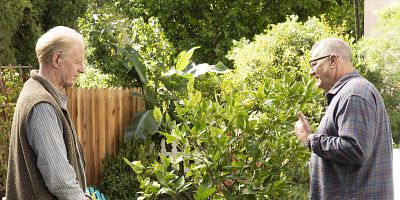 Poster der Serie Putting Down Roots