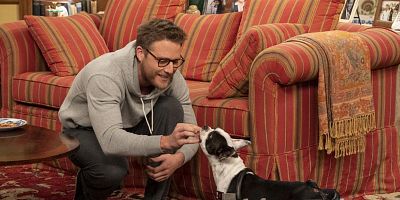 Poster der Serie AWOL