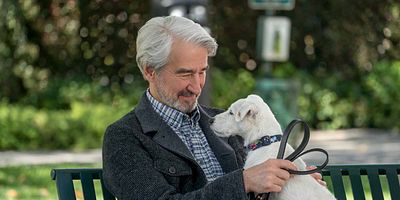 Poster der Serie The Pharmacy