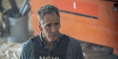 Poster der Serie Survivor