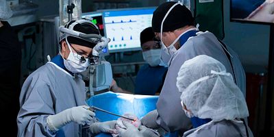 Poster der Serie Good Shepherd