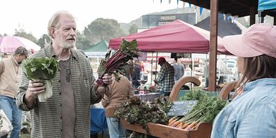 Poster der Serie Der Eiermann