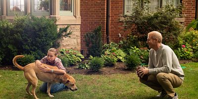 Poster der Serie Arrival