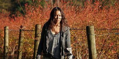 Poster der Serie Der alte Mann und die Anomalie