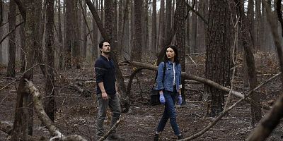 Poster der Serie Brilliant Disguise