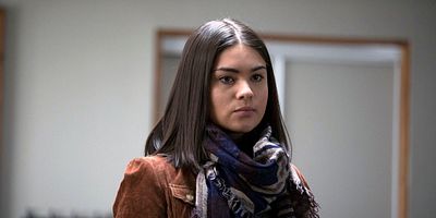 Poster der Serie Lemur