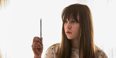 Poster der Serie Camera Wheelbarrow Tiger Pillow