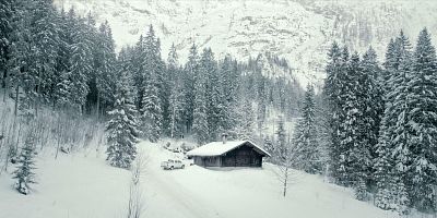 Poster der Serie Der Mann aus dem Wald