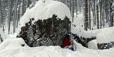 Poster der Serie Aus Fleisch und Blut