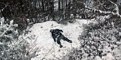 Poster der Serie Der Sturm