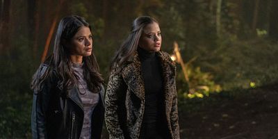 Poster der Serie The Truth about Kat and Dogs