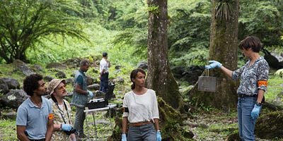 Poster der Serie Forêt de Reculée