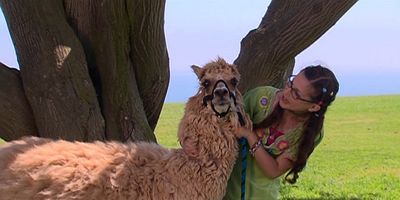 Poster der Serie People Auction