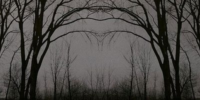 Poster der Serie Dark Uncle