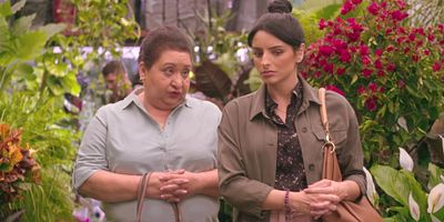 Poster der Serie DAHLIA (symb. gratitude)