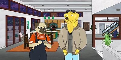 Poster der Serie Surprise !