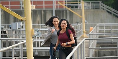 Poster der Serie Fire + Ashes + Legacy = Phoenix