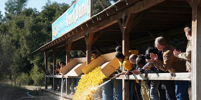 Poster der Serie Castor und Pollux