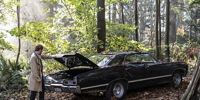 Poster der Serie Zari, Not Zari