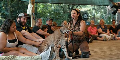 Poster der Serie Kultpersönlichkeit