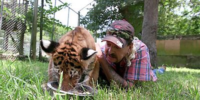 Poster der Serie Eine noble Geste