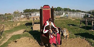 Poster der Serie Entthront