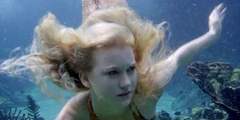 Poster der Serie Bad for Business