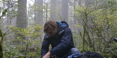 Poster der Serie Die Insel