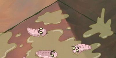 Poster der Serie Pet or Pests / Komputer Overload