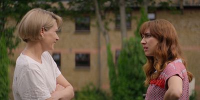 Poster der Serie Der Familienstammbaum