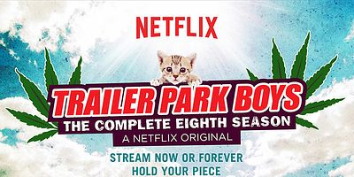 Poster der Serie Money Can Suck My Cock