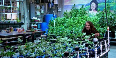 Poster der Serie Blue Dream