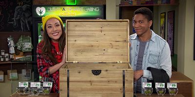 Poster der Serie Schrodinger's Pot