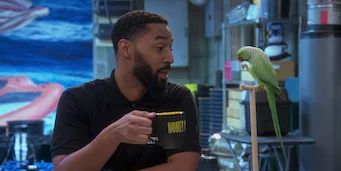 Poster der Serie Weed of Fortune