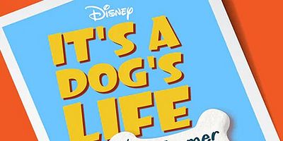 Poster der Serie Whale Poop Dogs & Sheep Herding Dogs