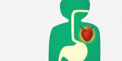 Poster der Serie Können wir ewig leben?