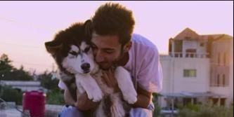 Poster der Serie Bravo, Zeus !