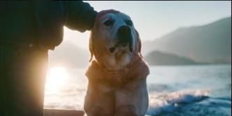 Poster der Serie Ice on the Water