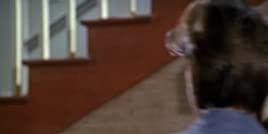 Poster der Serie Zwei Clarks für Lois