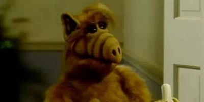 Poster der Serie Der Rollentausch